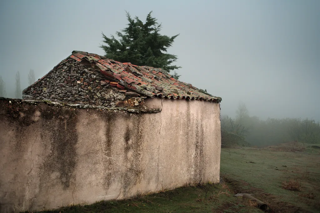 Niebla. Guadalajara, España, 2007