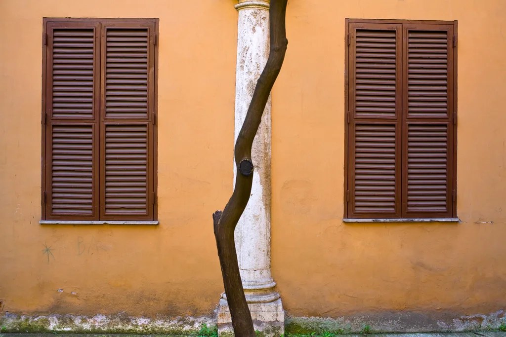 Roma, 2007