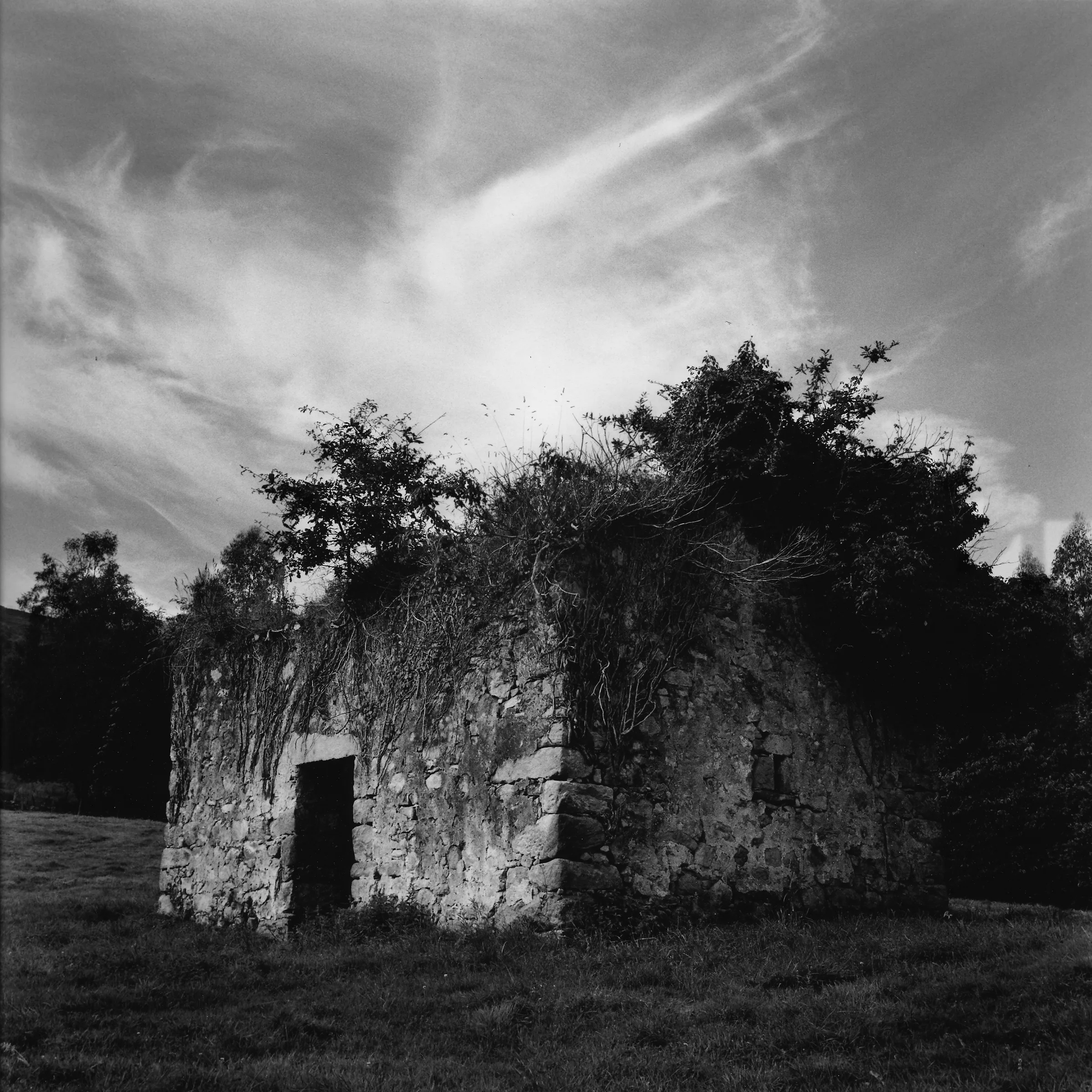 El valle invisible. 2004