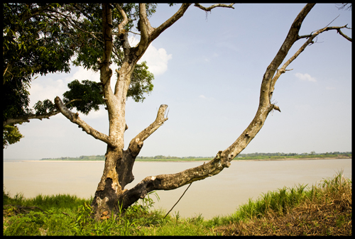 Río Amazonas