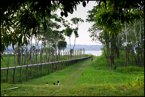 Nivel más bajo del Amazonas en los últimos 50 años. 2010