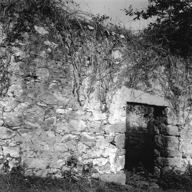 Ruinas. San Roque del Acebal, Llanes, 2000