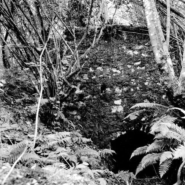 Molino de agua. San Roque del Acebal, Llanes, 2000