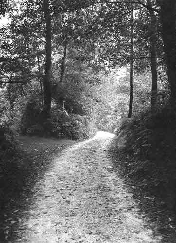 Camino de la Fuente