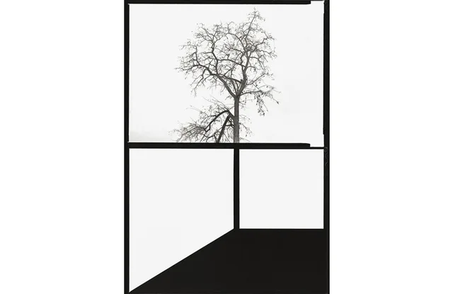 Díptico 10. 1978