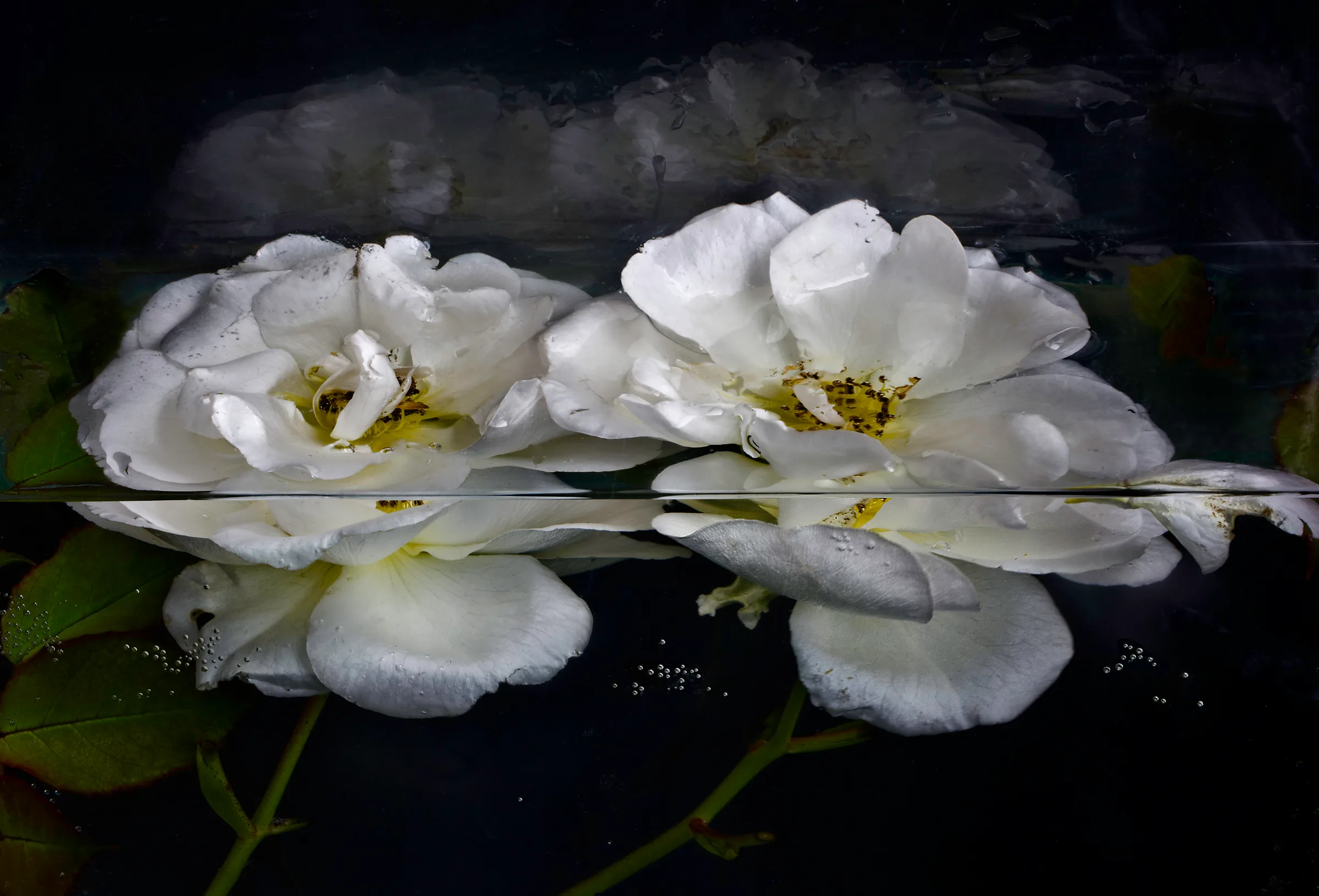 NATURALEZA Y LUZ. Pilar Pequeño