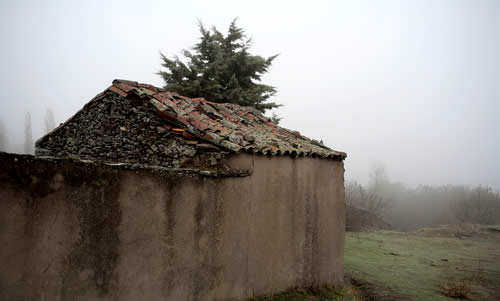 Niebla
