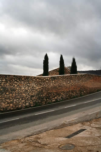 Tres cipreses, 2005