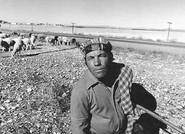 Mecánico, 1981