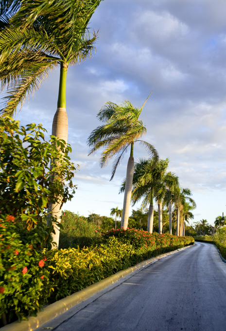 Carretera del Oriente, 2009