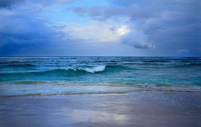 Mar Caribe, 2009